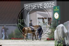 ref. photo 3896661