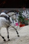 ref. photo 3896702
