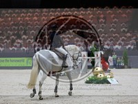 ref. photo 3896711