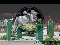 ref. photo 3896716