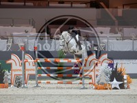 ref. photo 3896717