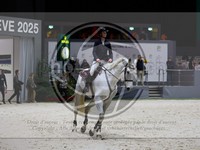 ref. photo 3896725