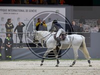 ref. photo 3896727
