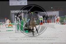 ref. photo 3896735
