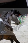 ref. photo 3896761