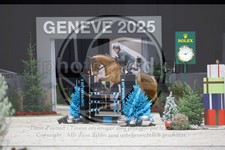 ref. photo 3896766