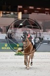 ref. photo 3896882