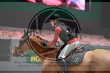 ref. photo 3896889