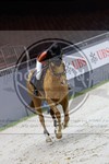 ref. photo 3896900