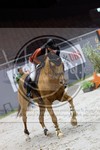 ref. photo 3896901