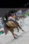 ref. photo 3896905