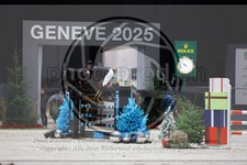 ref. photo 3896924