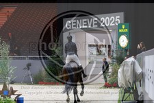 ref. photo 3896941