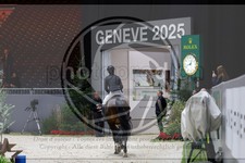 ref. photo 3896942