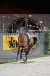 ref. photo 3896995