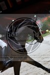 ref. photo 3897007