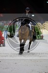 ref. photo 3897019