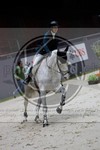 ref. photo 3897063