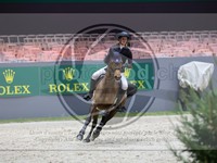ref. photo 3897114