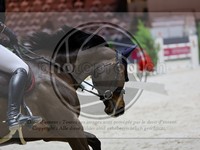 ref. photo 3897126