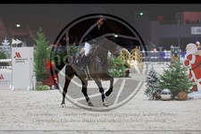 ref. photo 3897136
