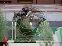 ref. photo 3897149