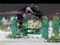 ref. photo 3897155