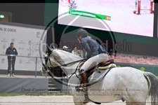 ref. photo 3897186