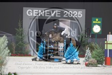 ref. photo 3897277