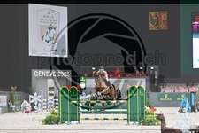 ref. photo 3897394