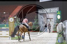 ref. photo 3897408