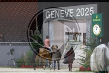 ref. photo 3897410