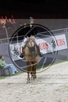 ref. photo 3897429