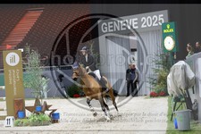 ref. photo 3897447