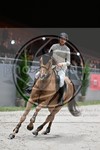 ref. photo 3897518