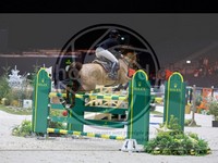 ref. photo 3897535