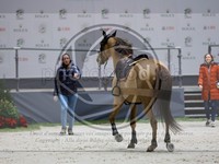 ref. photo 3897539