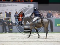 ref. photo 3897564