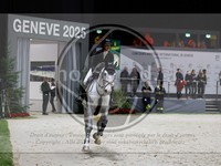 ref. photo 3897588