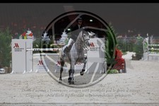 ref. photo 3897638