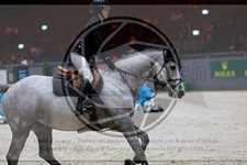 ref. photo 3897643