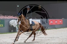 ref. photo 3897653