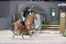 ref. photo 3897720