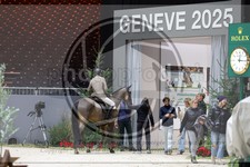 ref. photo 3897764
