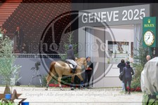 ref. photo 3897776