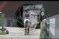 ref. photo 3897835