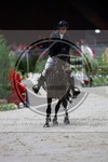 ref. photo 3897867
