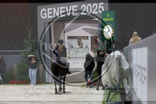 ref. photo 3897871