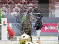 ref. photo 3897881