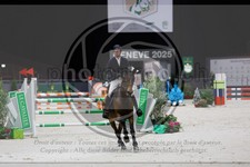 ref. photo 3897945